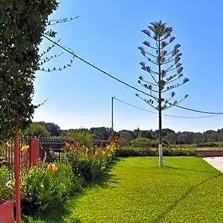 Paradise 3*