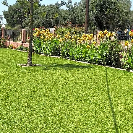 Paradise Valsamata